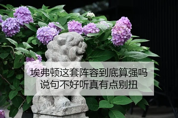 埃弗顿这套阵容到底算强吗 说句不好听真有点别扭