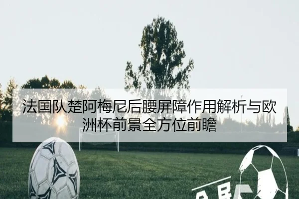 法国队楚阿梅尼后腰屏障作用解析与欧洲杯前景全方位前瞻 - kaiyun