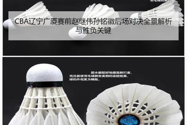 CBA辽宁广厦赛前赵继伟孙铭徽后场对决全景解析与胜负关键 - kaiyun